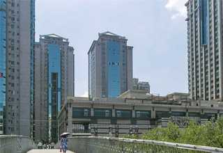 惠州微型振动盘厂商