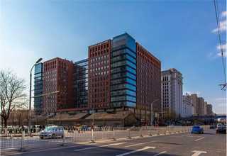 河南暖季型草坪哪家好